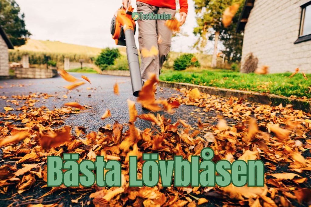 Bästa lövblåsen